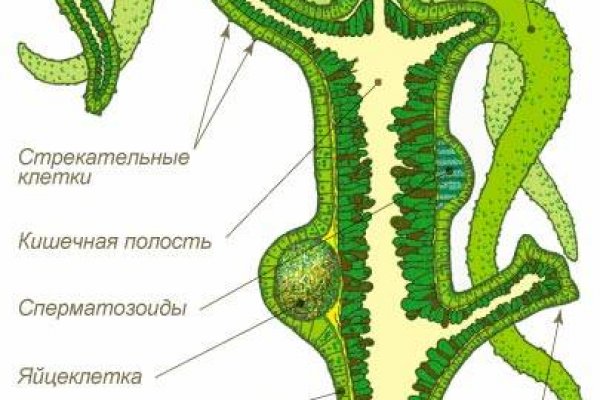 Почему не могу зайти на кракен