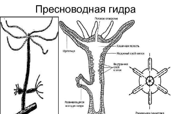 Как положить деньги на кракен