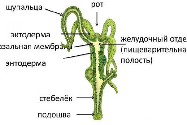 Что такое кракен маркетплейс